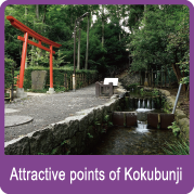 Attractive points of Kokubunji