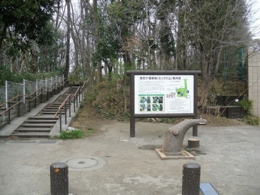 西恋ヶ窪緑地の写真