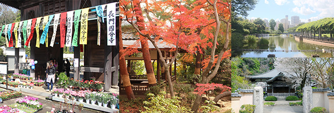 写真：国分寺楼門・武蔵国分寺・都立殿ヶ谷戸庭園・都立武蔵国分寺公園