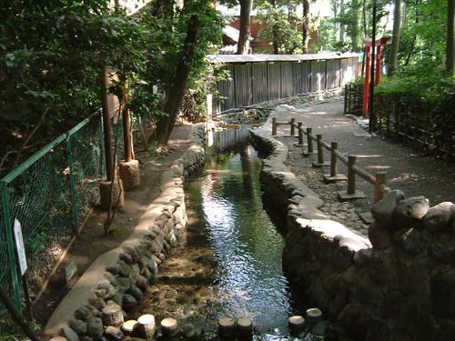 お鷹の道・真姿の池湧水群