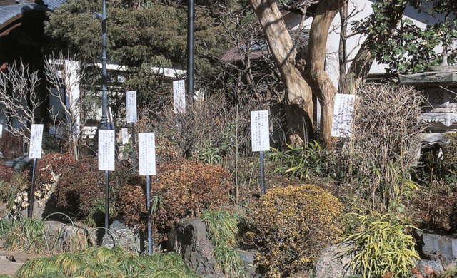 万葉植物園の写真