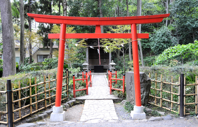 お鷹の道・真姿の池湧水群の写真