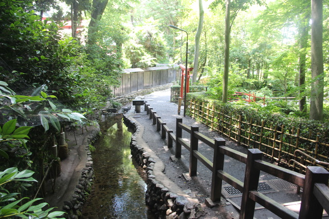 真姿の池・お鷹の道の写真