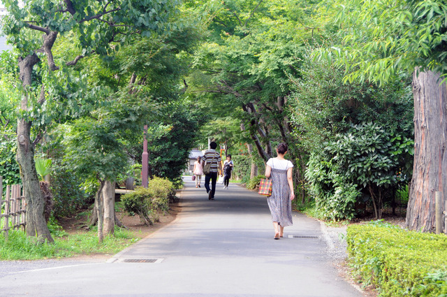 もみじ橋遊歩道の写真