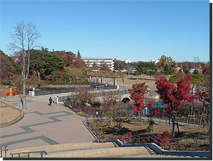 都立武蔵国分寺公園の画像2
