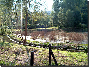 姿見の池の画像1