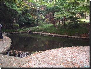 新次郎池の写真2