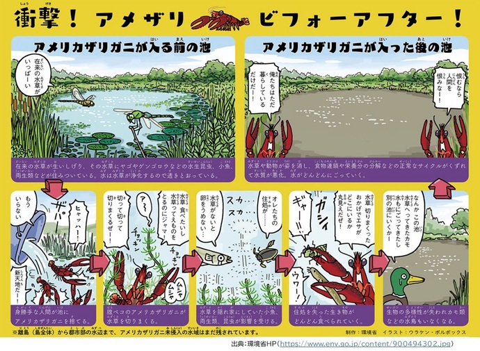 環境省_衝撃！アメザリ ビフォーアフター