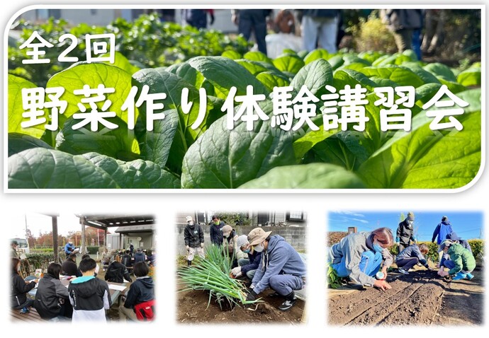 収穫体験付き野菜作り体験講習会(初心者向け)