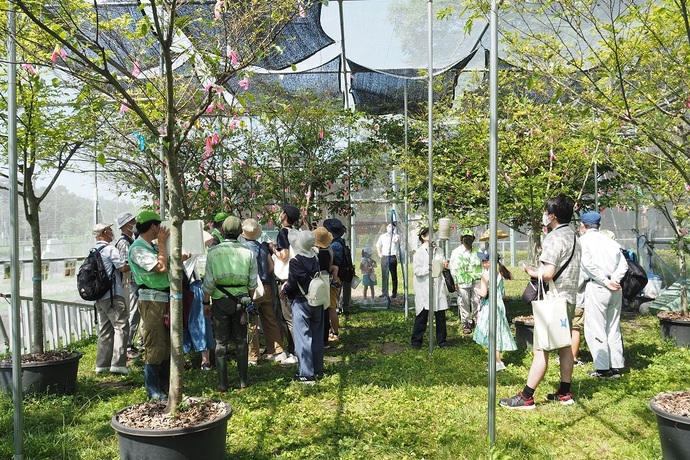 過去の見学会