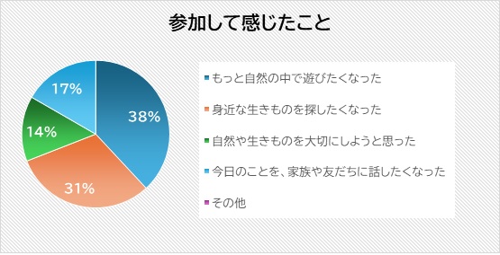 アンケート結果2 参加して感じたこと