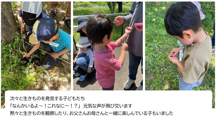 次々と生きものを発見する子どもたち。「なんかいるよ～！これなにー！？」と元気な声が飛び交います。黙々と生きものを観察したり、お父さんお母さんと一緒に楽しんでいる子もいました