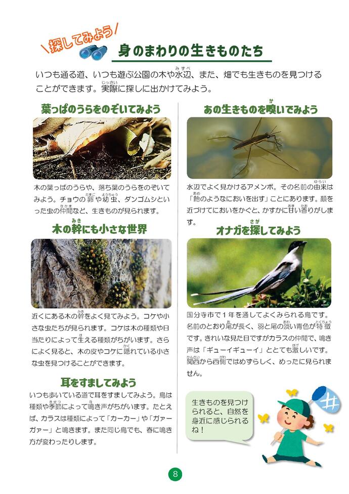 探してみよう 身のまわりの生きものたち
